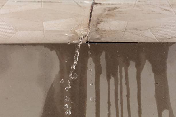 Professional Water Damage Inspection technician working in Dawson, TX